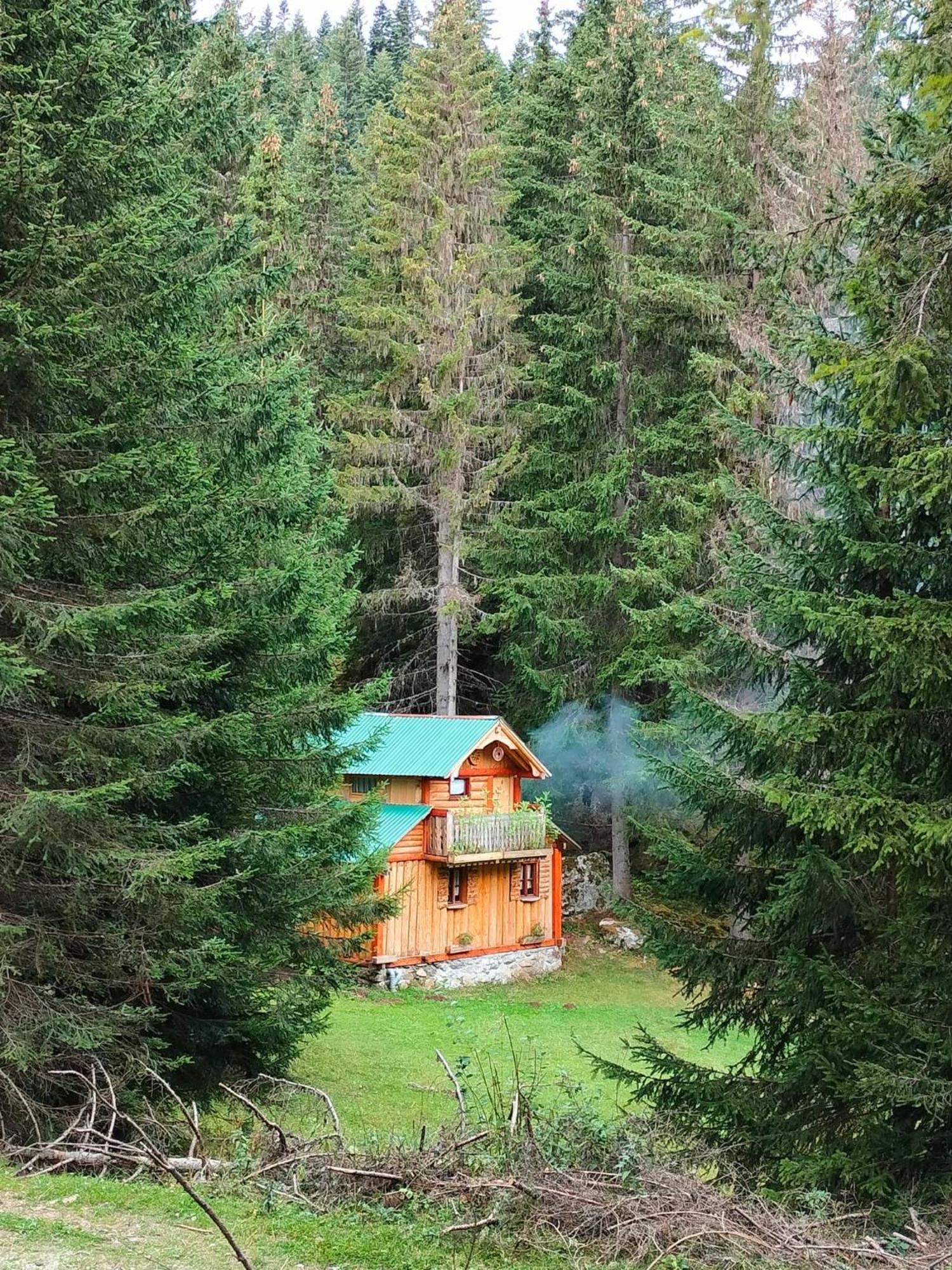 Lodge Isov Ranch Plav